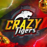 Crazy Tiger pubg