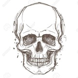 Anatomy Jars 62ⁿᵈ