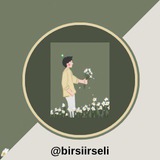 BİRSİİRSELİ