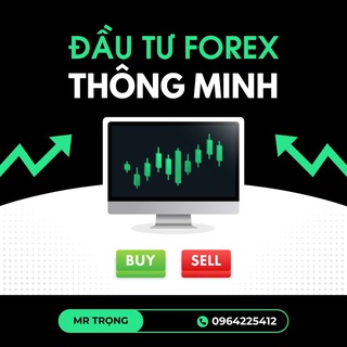 📊 Đầu tư Forex thông minh 🇻🇳