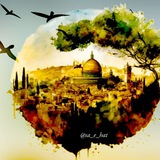 🪂 سائحات 🪂