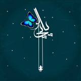 🦋 پاپیلو