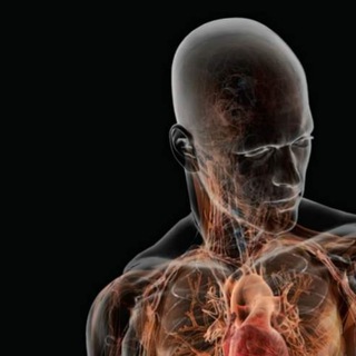 Anatomy Histology and Embryology
