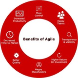 Agile SM/PO/PM Training