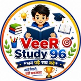 VeeR StudY 96