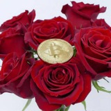 🌷 Rose Premium Signal ☘️