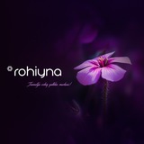 Rohiyna | Рохийна
