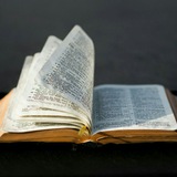 Bible verses