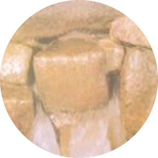 استشارات في الرقية
