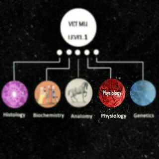 Physiology Semester 1