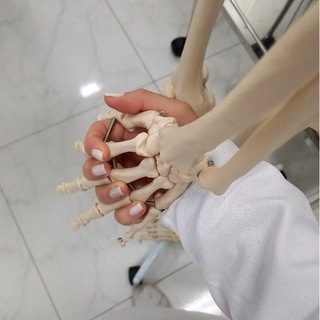 Медикус 🩺