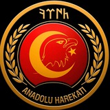 Anadolu Harekâtı