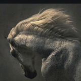 غريب