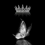كلمات ذات معنى 🌺