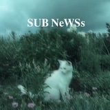 𝐒𝐔𝐁 𝐍𝐞𝐖𝐒𝐬| 🐈⬛️