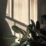 فِبراير ♥︎ 94