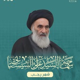 توضيح المسائل المُنتخبة (العبادات)