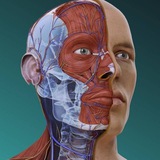 ECG - تمريض