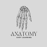 anatomix