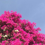 🌸 ذِكْرَىٰ لِلذَّاكِرِينْ 🌸