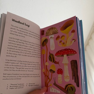 English books for children