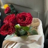 كلام مزخرف ♥️ 🖇