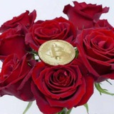 Rose Challenge - 0.1BTC to 100BTC🌹