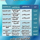 قناة / أحمد حلمي