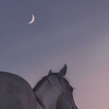 Vivir con la Luna -Geminisunchild