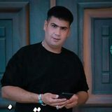 محمود تقی زاده