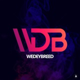 WEDEYBREEDD‼️