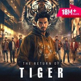 The Return Of Tiger Pocket Fm