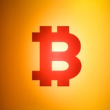 CashWithDave Coin Tipps 🚀