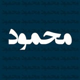 محمود بیز