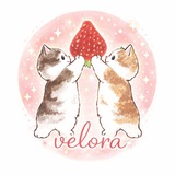 Velora shop