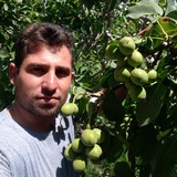 نهالستان ژنوتیپ برتر