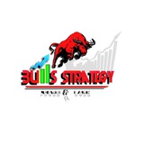 BULLS STRATEGY ( NISM CERTIFIED )️