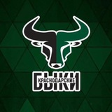 Краснодарские быки 🏆