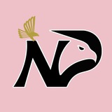 Palermo Calcio | Notizie