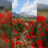 ✴مست علیا(بالا)✴
