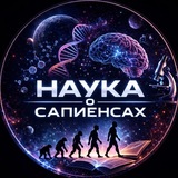 Авто Радио 💸