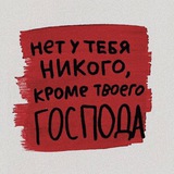 Книжный лис)