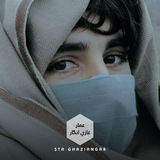 طالب العلم طالب عمار