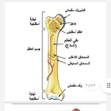 قناة صف ثالث متوسط اسئله وزاريه
