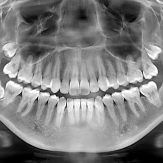 Oral Radiology ✨ 💜