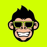 Monkeys Money