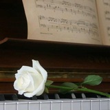 آوای موسیقی
