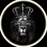 Attitude People Official