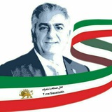 همگام با رضاشاه دوم