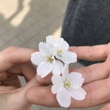 ɬᎥℓℓ ωh℮ภ 𖡻